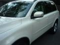 Ice White - XC90 V8 AWD Photo No. 18