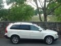 Ice White - XC90 V8 AWD Photo No. 19