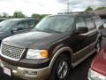 2006 Dark Stone Metallic Ford Expedition Eddie Bauer  photo #3