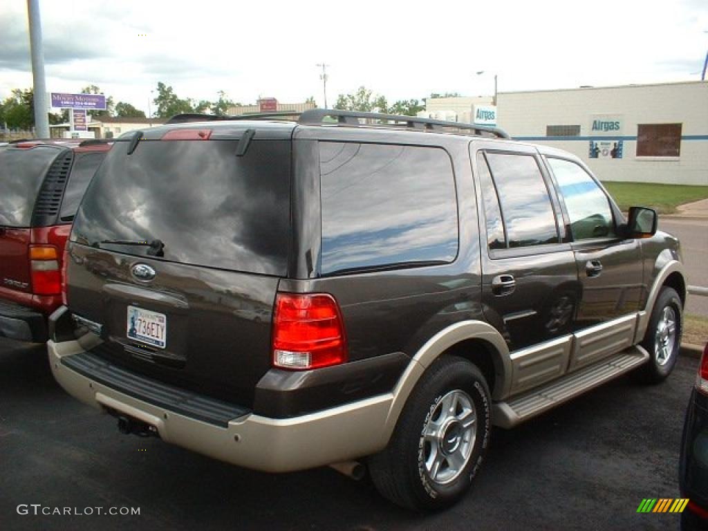 2006 Expedition Eddie Bauer - Dark Stone Metallic / Medium Parchment photo #4