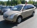 2007 Sonora Gold Hyundai Entourage GLS  photo #1