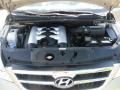 2007 Sonora Gold Hyundai Entourage GLS  photo #20