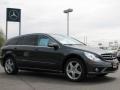 2010 Steel Grey Metallic Mercedes-Benz R 350 4Matic  photo #3