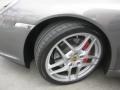 Meteor Grey Metallic - 911 Carrera S Coupe Photo No. 39