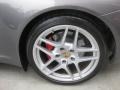 Meteor Grey Metallic - 911 Carrera S Coupe Photo No. 42