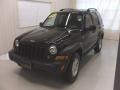 Black - Liberty Sport 4x4 Photo No. 1
