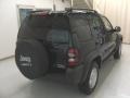 Black - Liberty Sport 4x4 Photo No. 4