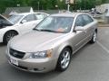 Golden Beige - Sonata GLS V6 Photo No. 1
