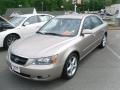 2006 Golden Beige Hyundai Sonata GLS V6  photo #1