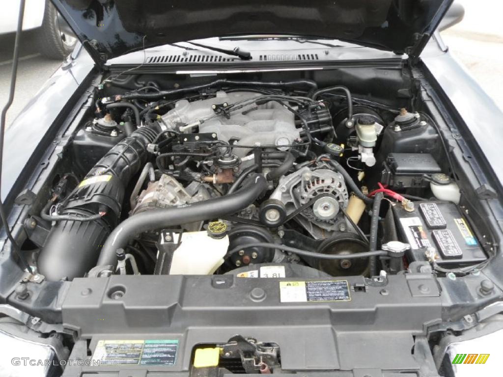 2003 Mustang V6 Convertible - True Blue Metallic / Medium Parchment photo #20