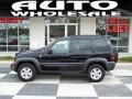 Black Clearcoat - Liberty Sport 4x4 Photo No. 1