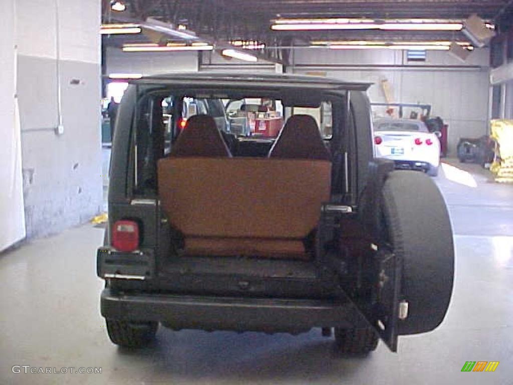 2002 Wrangler X 4x4 - Black / Camel Beige photo #9