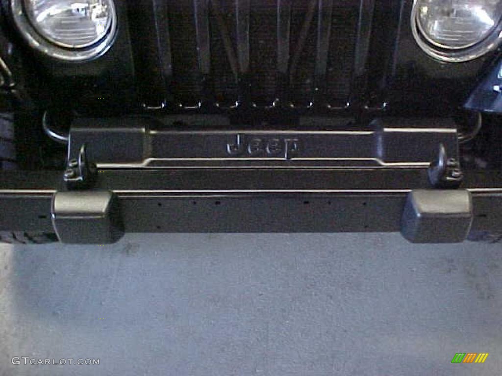 2002 Wrangler X 4x4 - Black / Camel Beige photo #20