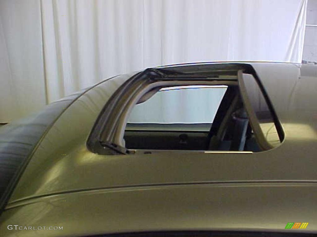 2002 Sable LS Premium Sedan - Spruce Green Metallic / Medium Parchment photo #12