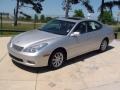 Millennium Silver Metallic - ES 300 Photo No. 13