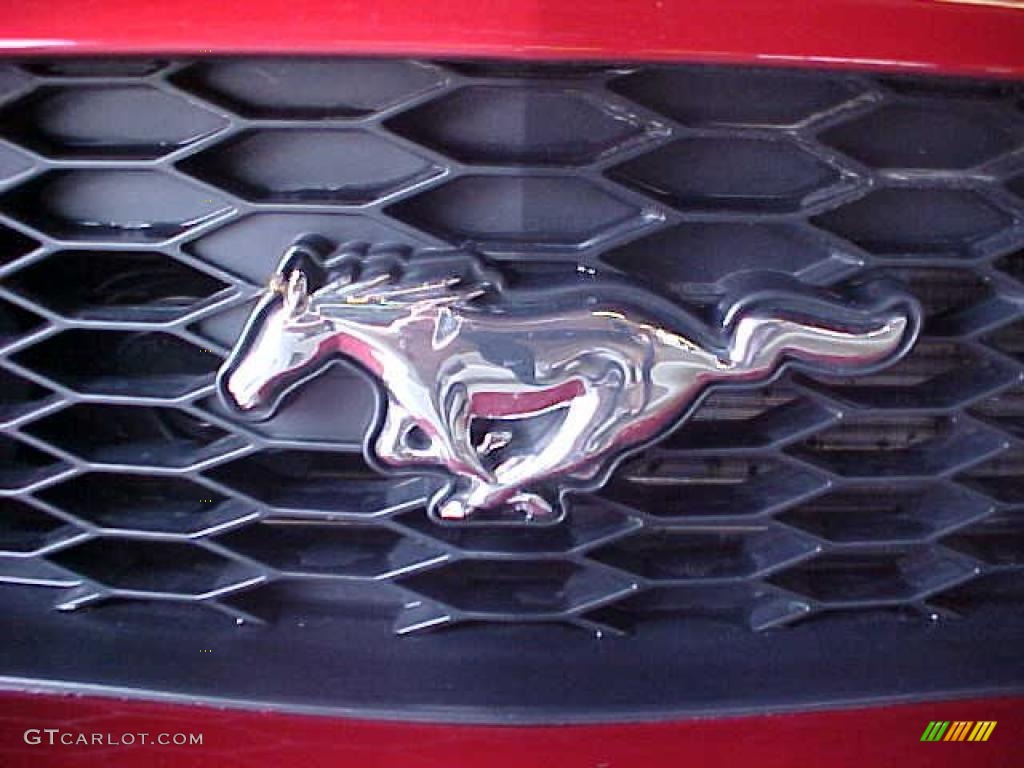 2007 Mustang GT Premium Coupe - Redfire Metallic / Light Graphite photo #14