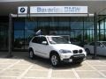 Alpine White - X5 3.0si Photo No. 2