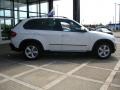 Alpine White - X5 3.0si Photo No. 9