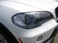 Alpine White - X5 3.0si Photo No. 11