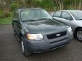 2003 Aspen Green Metallic Ford Escape XLS V6 4WD  photo #1