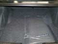 2010 Brilliant Black Crystal Pearl Chrysler 300 C HEMI  photo #23