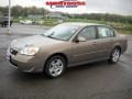 2007 Amber Bronze Metallic Chevrolet Malibu LT Sedan  photo #20