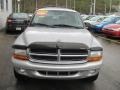 2002 Bright Silver Metallic Dodge Durango SLT 4x4  photo #4