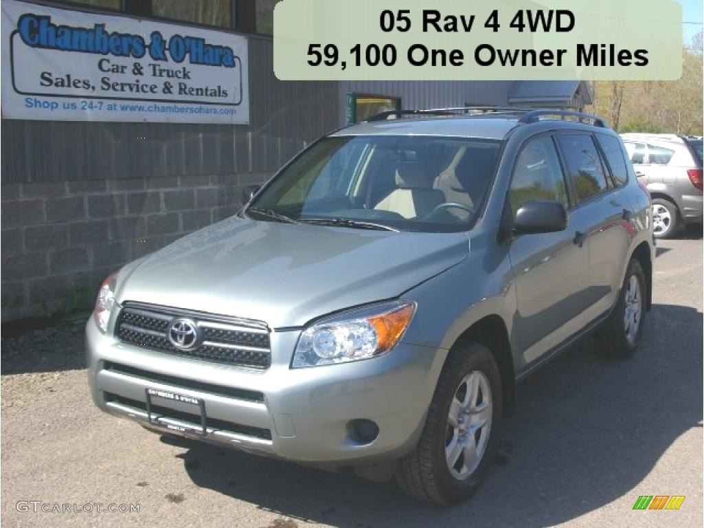 2007 RAV4 4WD - Everglade Metallic / Ash Gray photo #1