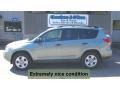 2007 Everglade Metallic Toyota RAV4 4WD  photo #2