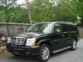 2006 Black Raven Cadillac Escalade ESV AWD Platinum  photo #4