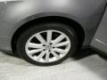 United Grey Metallic - Passat 3.6 Sedan Photo No. 9