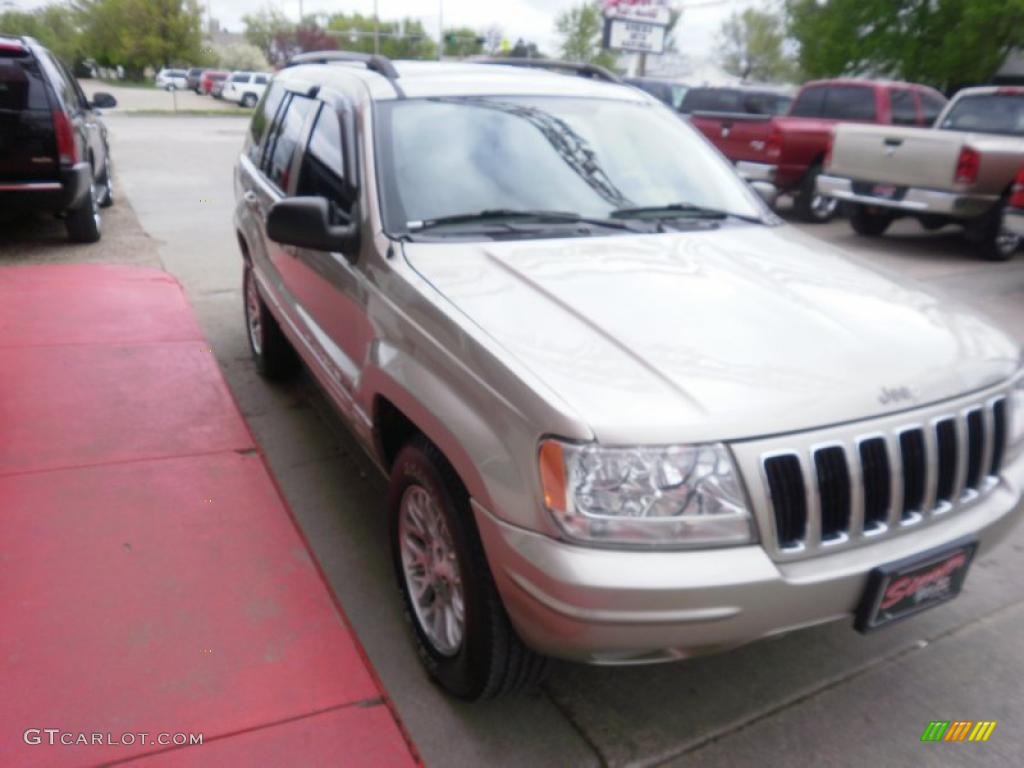 2003 Grand Cherokee Limited 4x4 - Light Pewter Metallic / Sandstone photo #4