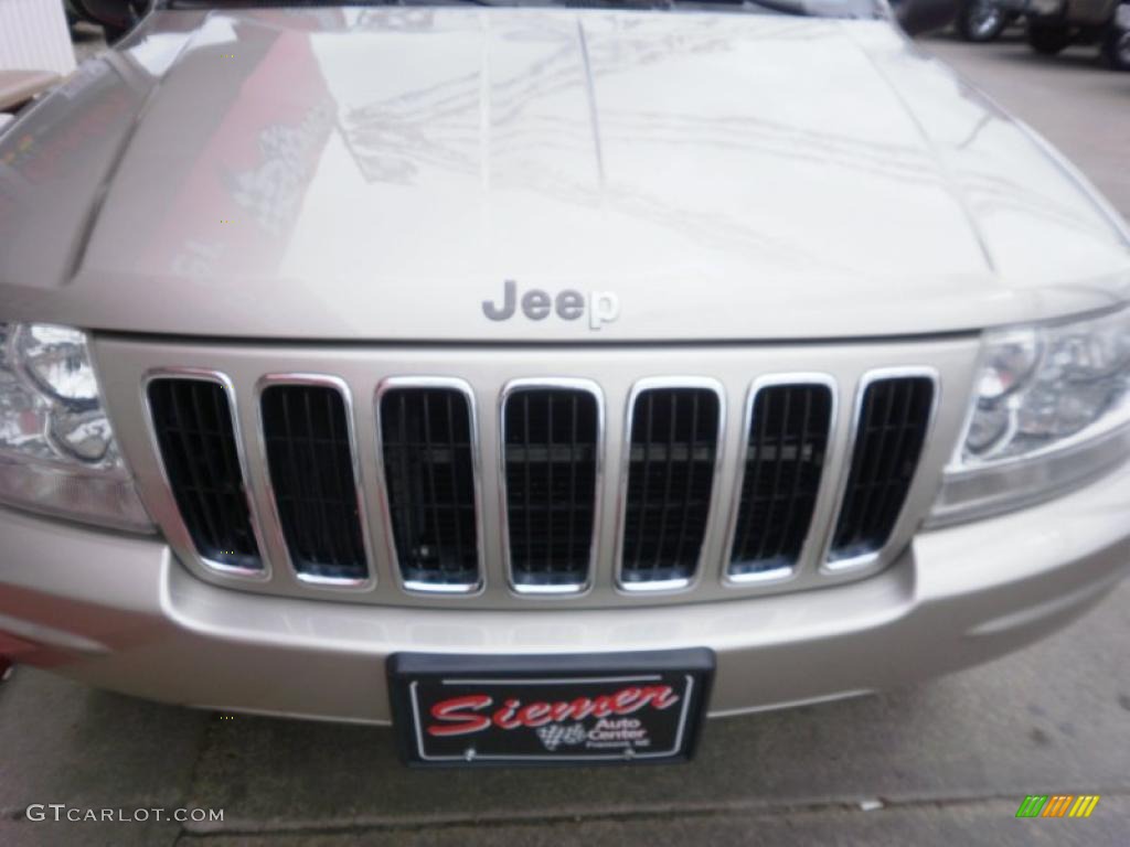 2003 Grand Cherokee Limited 4x4 - Light Pewter Metallic / Sandstone photo #5