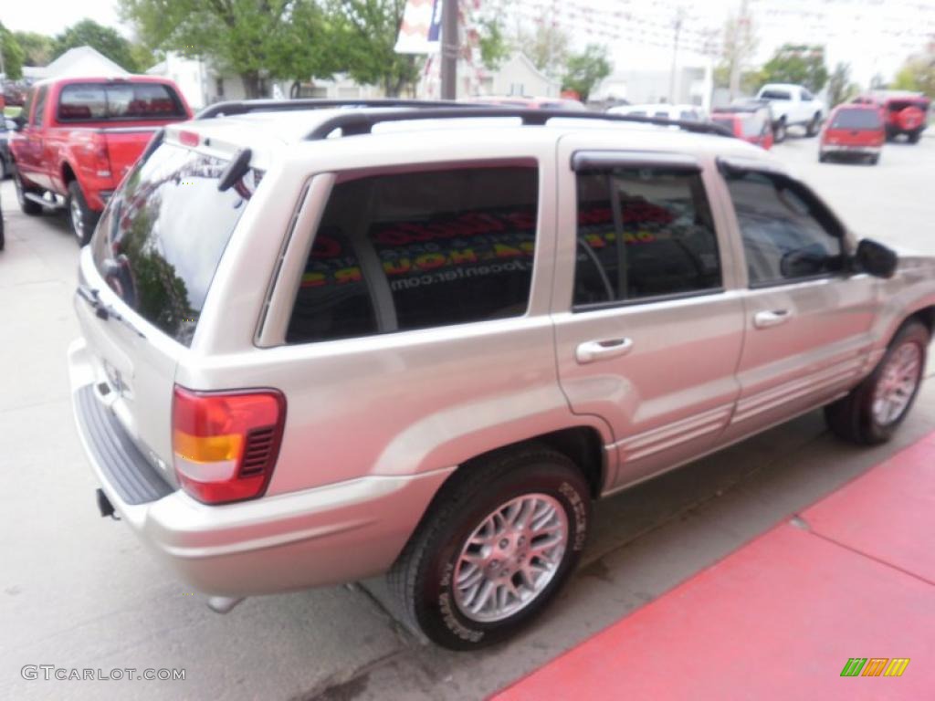 2003 Grand Cherokee Limited 4x4 - Light Pewter Metallic / Sandstone photo #15