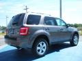 2010 Sterling Grey Metallic Ford Escape XLT V6  photo #3