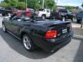 Black - Mustang GT Convertible Photo No. 3
