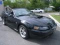 Black - Mustang GT Convertible Photo No. 8