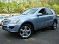 Alpine Rain Metallic - ML 350 4Matic Photo No. 1