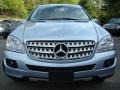 Alpine Rain Metallic - ML 350 4Matic Photo No. 2