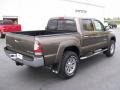 2010 Pyrite Mica Toyota Tacoma V6 SR5 Double Cab 4x4  photo #4