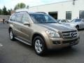 2008 Sand Beige Metallic Mercedes-Benz GL 450 4Matic  photo #3