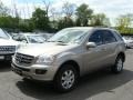 Pewter Metallic - ML 350 4Matic Photo No. 1