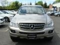 Pewter Metallic - ML 350 4Matic Photo No. 2