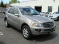 Pewter Metallic - ML 350 4Matic Photo No. 3