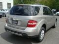 Pewter Metallic - ML 350 4Matic Photo No. 4