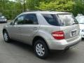 Pewter Metallic - ML 350 4Matic Photo No. 6