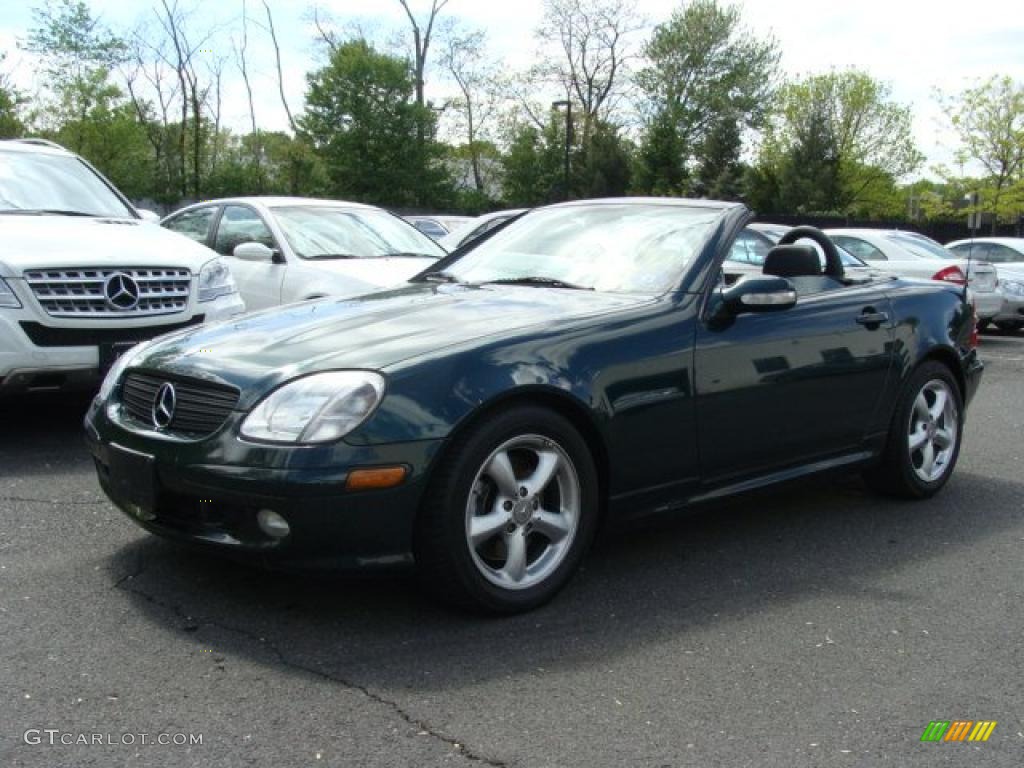 2003 Everest Green Metallic MercedesBenz SLK 320 Roadster 29137463