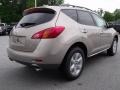 2010 Saharan Stone Metallic Nissan Murano SL  photo #5