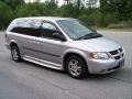 2003 Bright Silver Metallic Dodge Grand Caravan Braun Entervan  photo #3