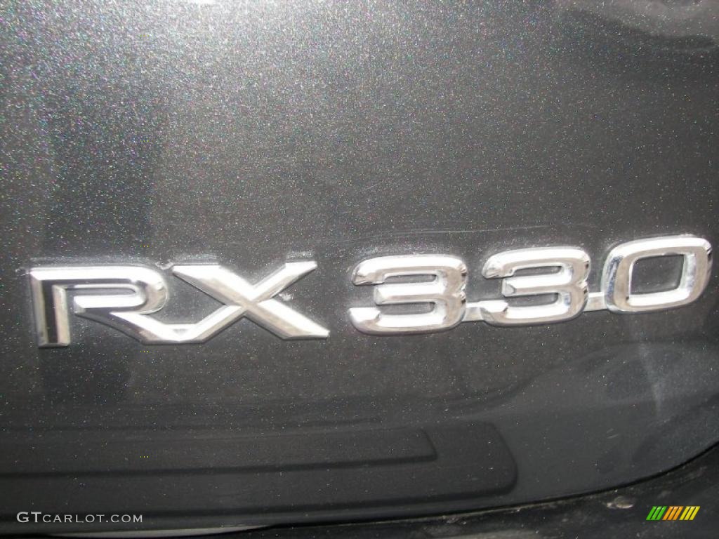2004 RX 330 AWD - Flint Gray Mica / Black photo #8